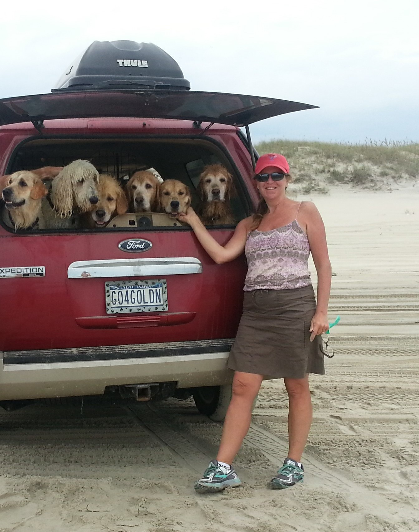 Bonnie FitzJames News, Sports, Jobs Adirondack Daily Enterprise